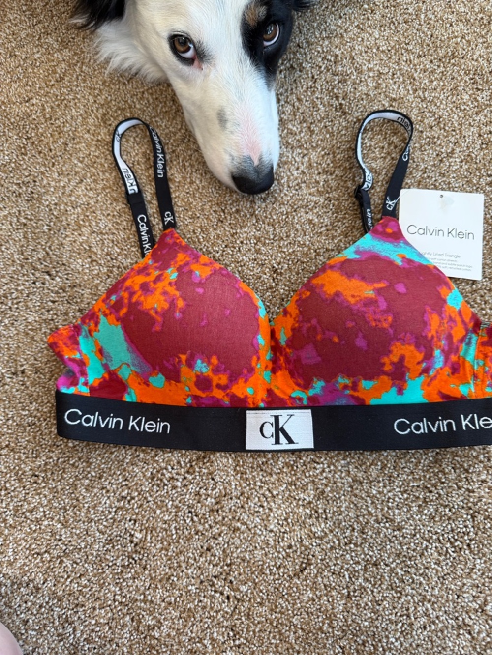 Calvin Klein Multicolor Abstract Padded Bralette - Burgundy, Orange, Turquoise